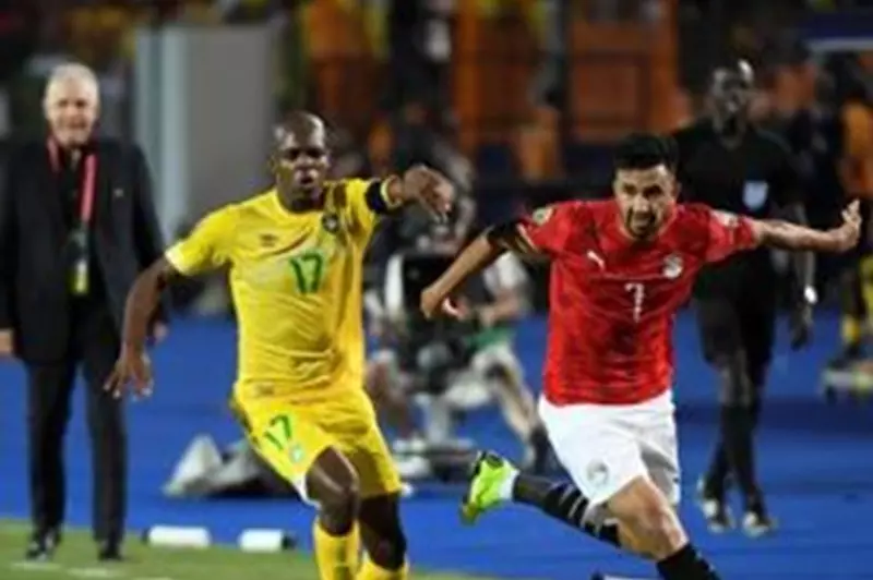 منافس مصر.. زيمبابوي تواجه الجزائر وقطر وديًا استعدادًا لأمم أفريقيا